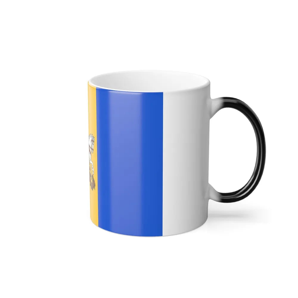 Flag of Kyiv Oblast Ukraine - Color Changing Coffee Mug-Go Mug Yourself