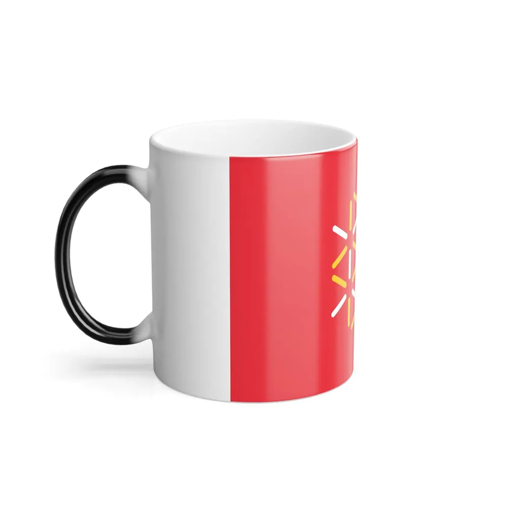 Flag of Languedoc Roussillon France 2 - Color Changing Coffee Mug-Go Mug Yourself