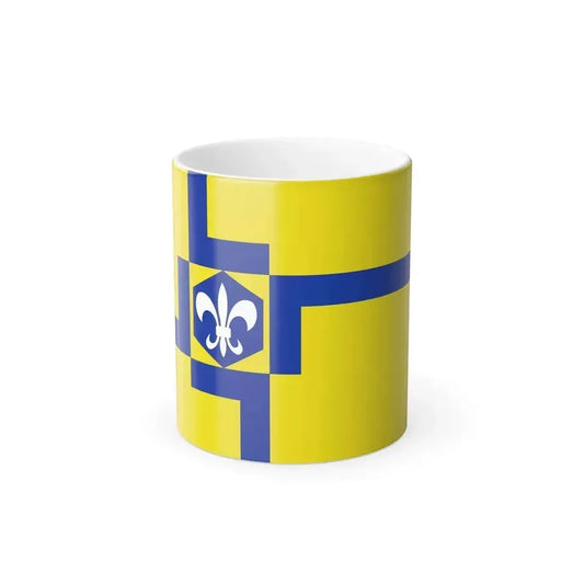 Yellow field crossed by blue stepped bands, with a white fleur-de-lis on a blue hexagon at the centre.