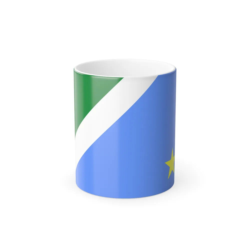 Flag of Mato Grosso do Sul Brazil - Color Changing Coffee Mug-11oz-Go Mug Yourself