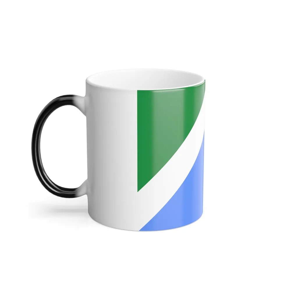 Flag of Mato Grosso do Sul Brazil - Color Changing Coffee Mug-Go Mug Yourself