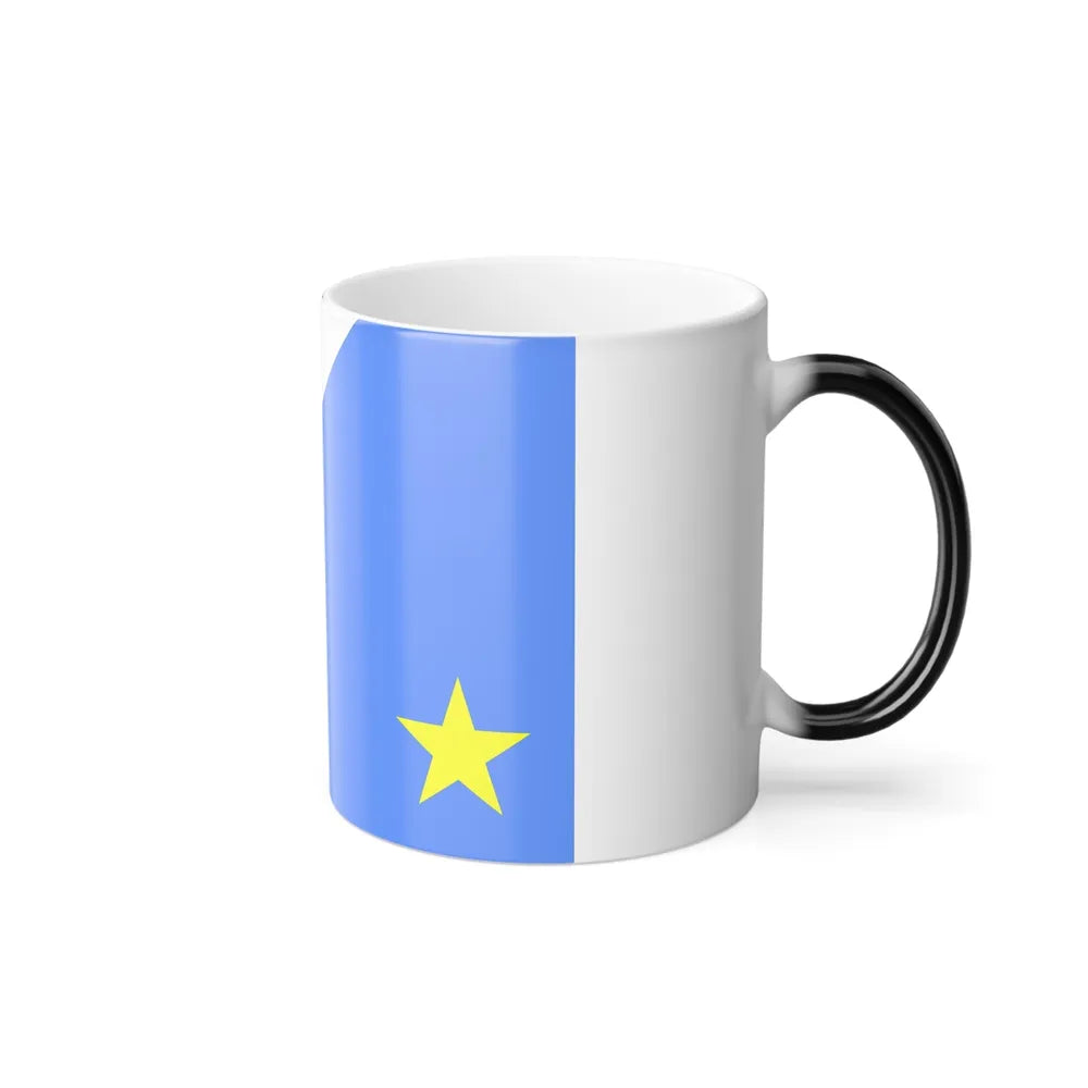 Flag of Mato Grosso do Sul Brazil - Color Changing Coffee Mug-Go Mug Yourself