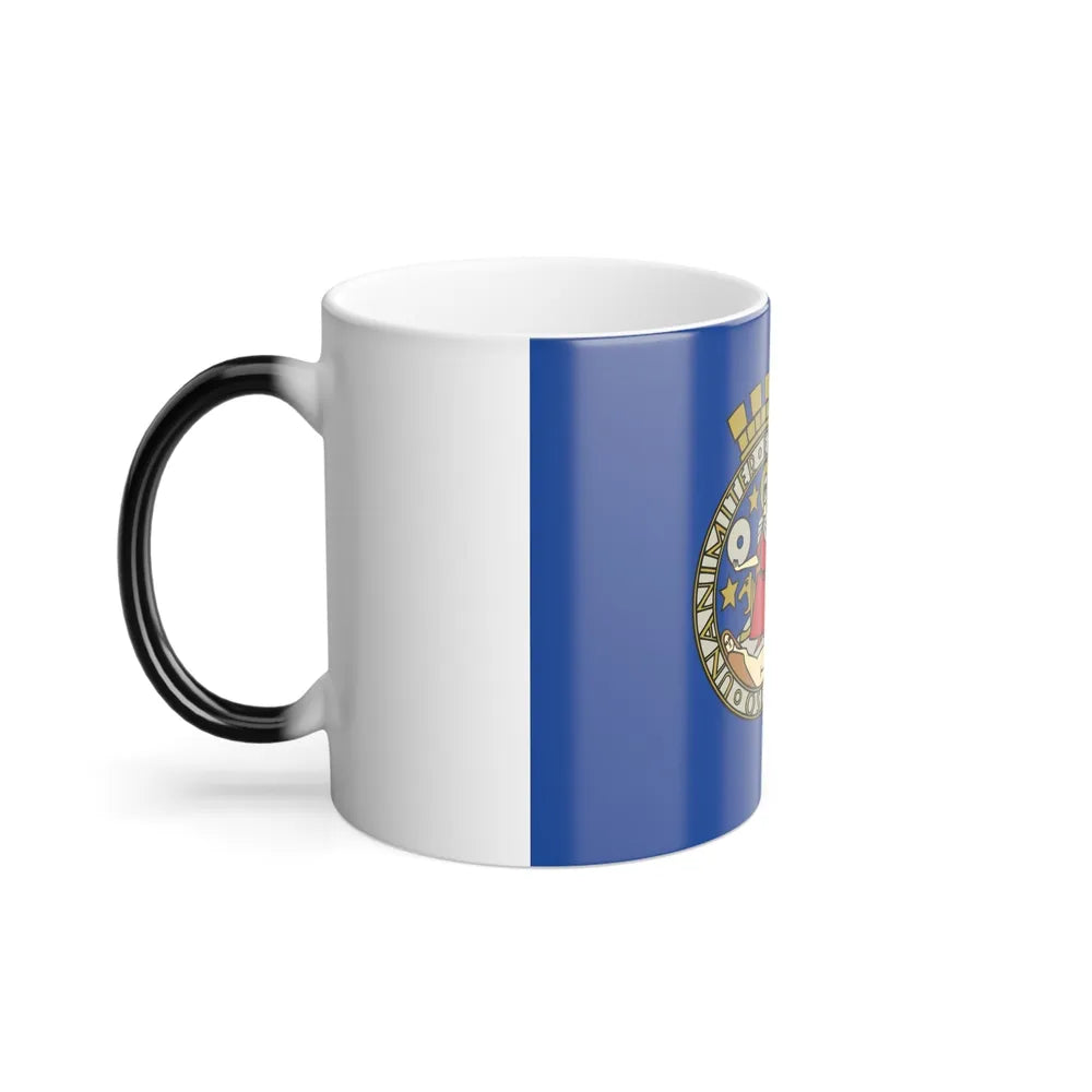 Flag of Oslo Oslo Norway - Color Changing Coffee Mug-Go Mug Yourself