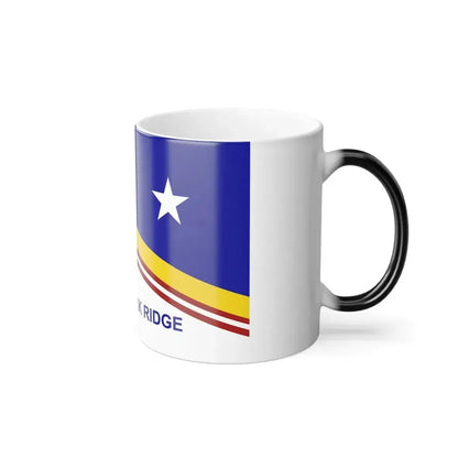 Flag of Park Ridge, Illinois - Color Changing Coffee Mug - Go Mug Yourself