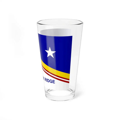 Flag of Park Ridge, Illinois - Pint Glass 16oz - Go Mug Yourself