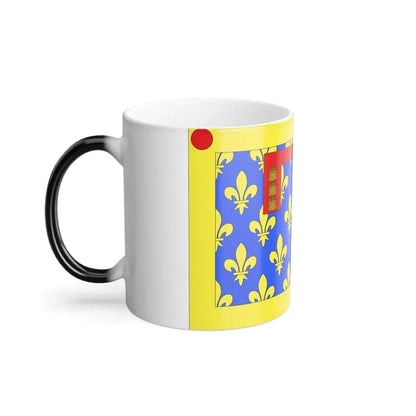 Flag of Pas de Calais France 2 - Color Changing Coffee Mug - Go Mug Yourself