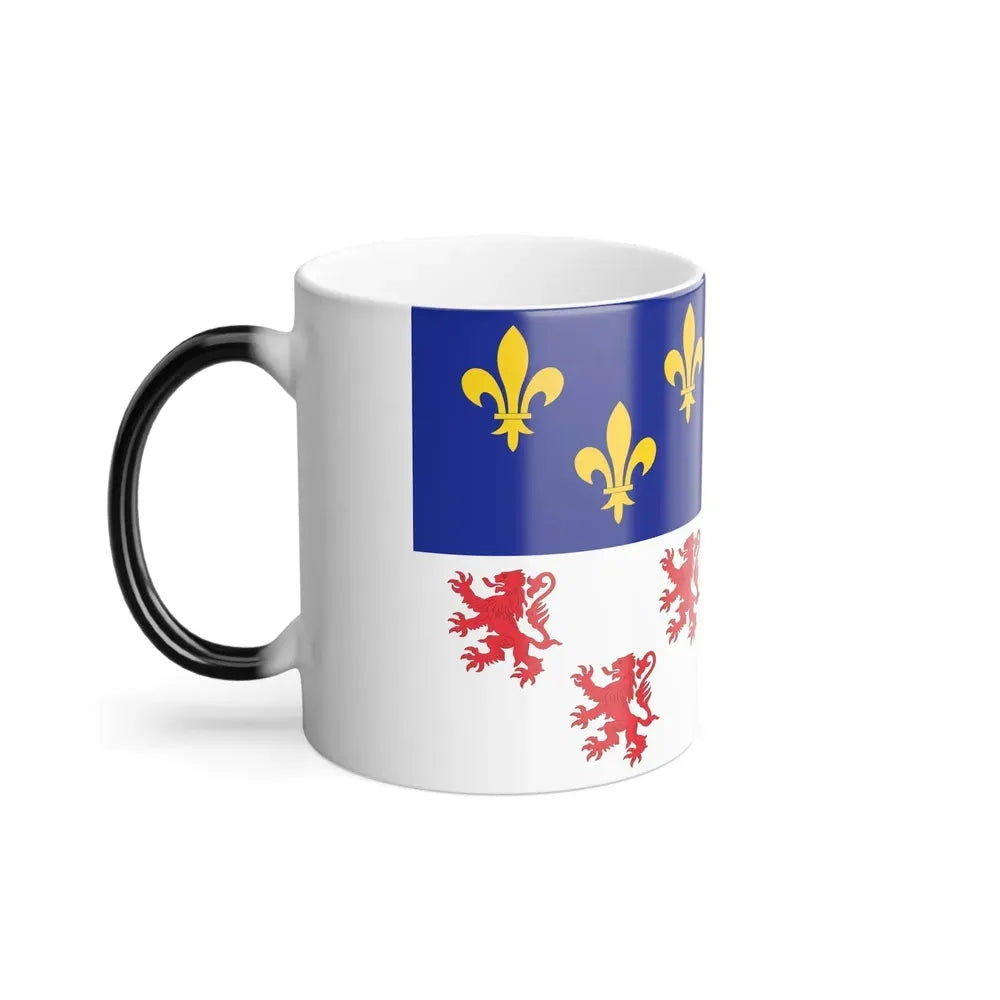 Flag of Picardy France - Color Changing Coffee Mug - Go Mug Yourself