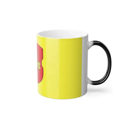 Flag of Pinsk Russia - Color Changing Coffee Mug - Go Mug Yourself