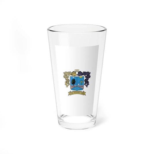 Flag of Pogany vertical (Hungary) Pint Glass 16oz 16oz - Go Mug Yourself