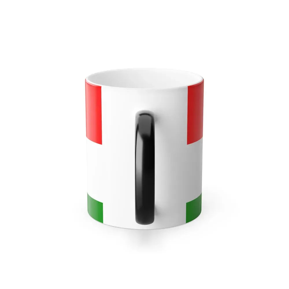 Flag of Posavina Canton Bosnia and Herzegovina - Color Changing Coffee Mug - Go Mug Yourself