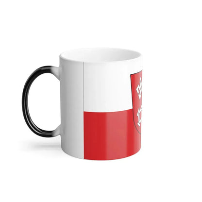 Flag of Regensburg 2 Germany - Color Changing Coffee Mug - Go Mug Yourself