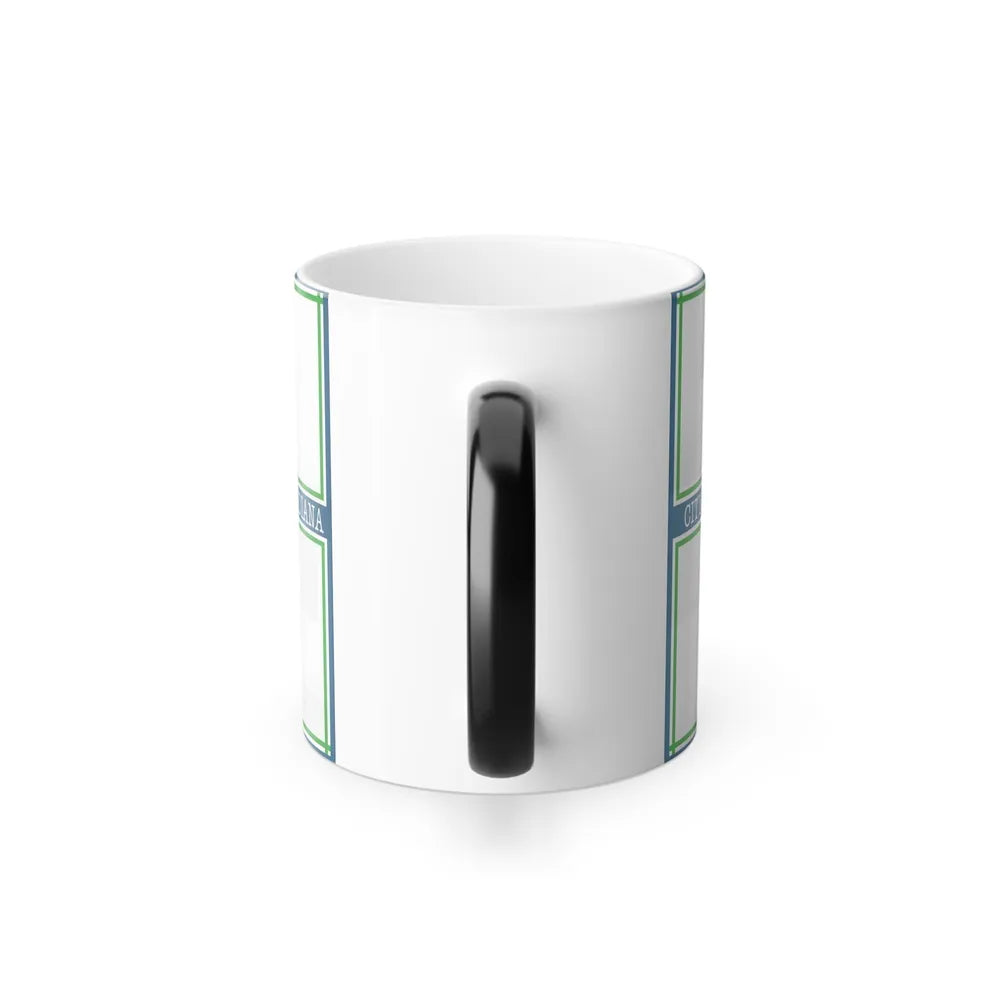 Flag of Richmond, Indiana - Color Changing Coffee Mug-Go Mug Yourself
