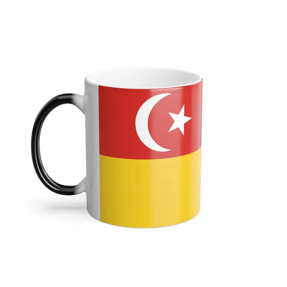 Flag of Selangor Malaysia - Color Changing Coffee Mug - Go Mug Yourself
