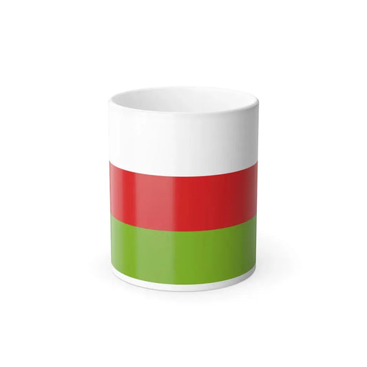 Flag of Sincelejo Colombia - Color Changing Coffee Mug 11oz - Go Mug Yourself