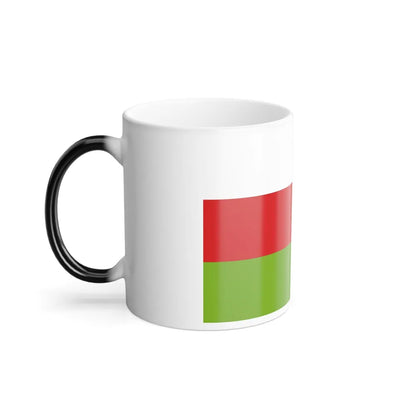 Flag of Sincelejo Colombia - Color Changing Coffee Mug-Go Mug Yourself