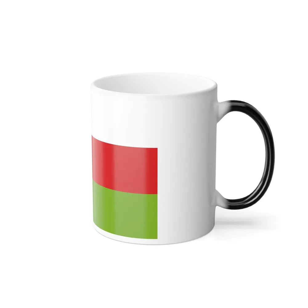 Flag of Sincelejo Colombia - Color Changing Coffee Mug-Go Mug Yourself