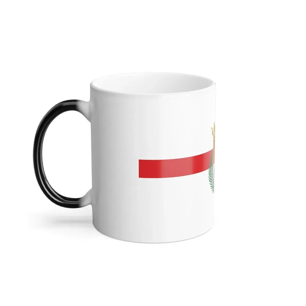 Flag of Teruel Spain - Color Changing Coffee Mug - Go Mug Yourself