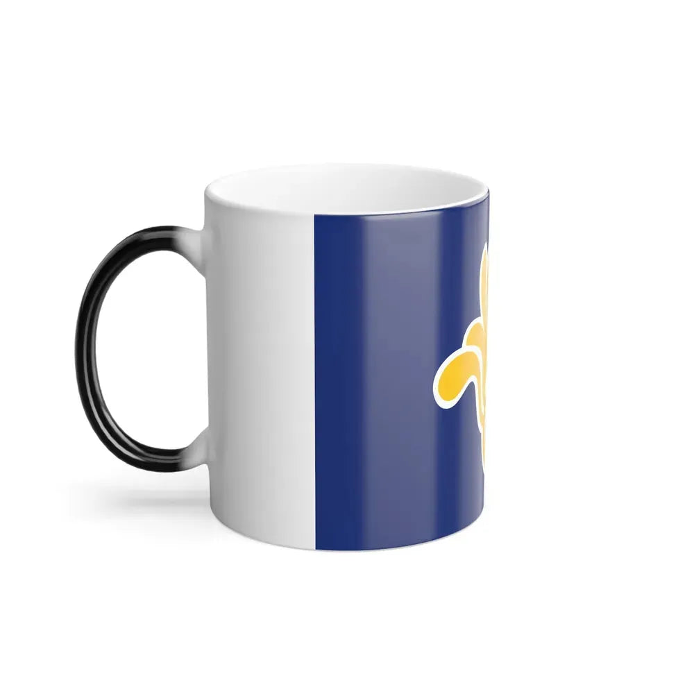 Flag of the Brussels Capital Region Belgium - Color Changing Coffee Mug - Go Mug Yourself