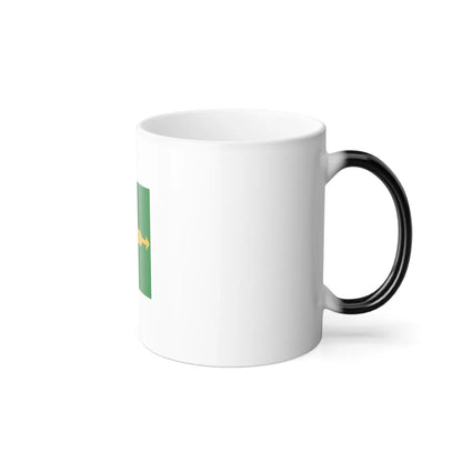 Flag of the Federal District Brazil - Color Changing Coffee Mug-Go Mug Yourself