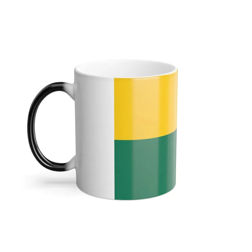 Flag of The Hague the capital of the province of South Holland Netherlands - Color Changing Coffee Mug - Go Mug Yourself