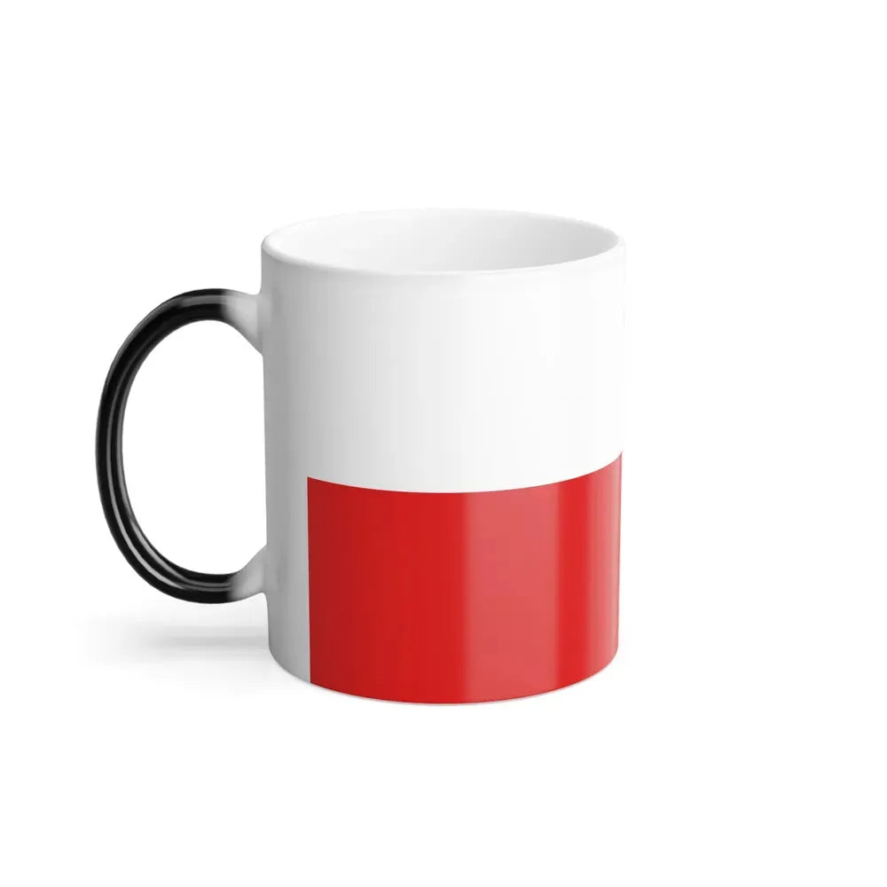 Flag of Thuringia Germany - Color Changing Coffee Mug - Go Mug Yourself