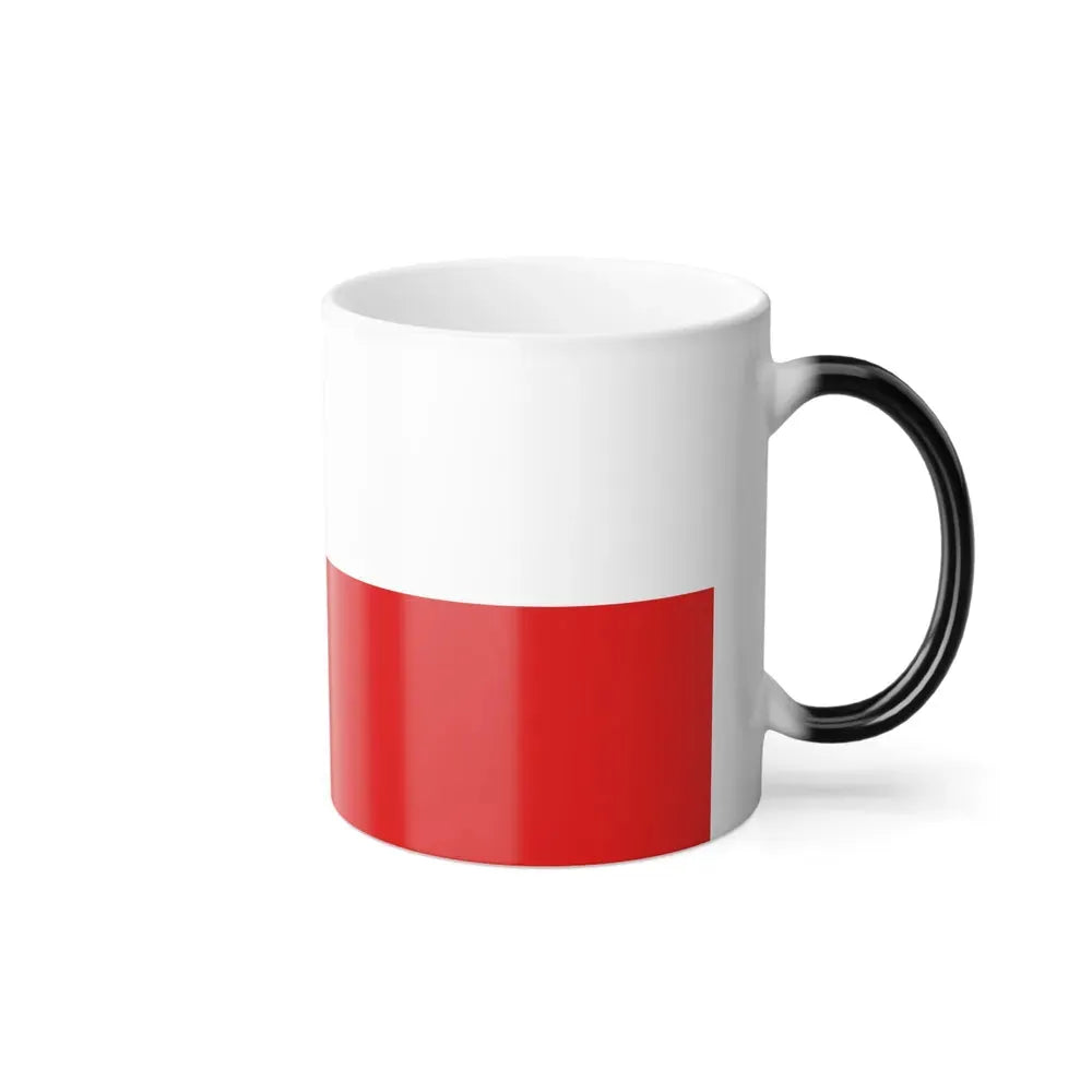 Flag of Thuringia Germany - Color Changing Coffee Mug - Go Mug Yourself