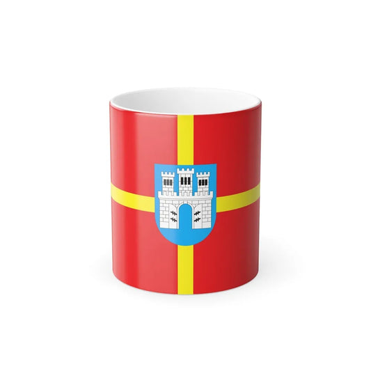 Flag of Zhytomyr Oblast Ukraine - Color Changing Coffee Mug-11oz-Go Mug Yourself