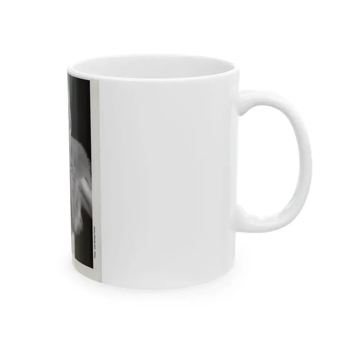 Francine York #171 - 8x10 B&W very recent Upper Body Glamour Night Gown with, Fur Photo on Postcard Paper (Vintage Female Icon) White Coffee Mug - Go Mug Yourself
