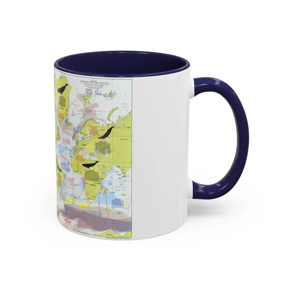 Great Whales, Migration and Range (1976) (Map) Accent Coffee Mug - Go Mug Yourself