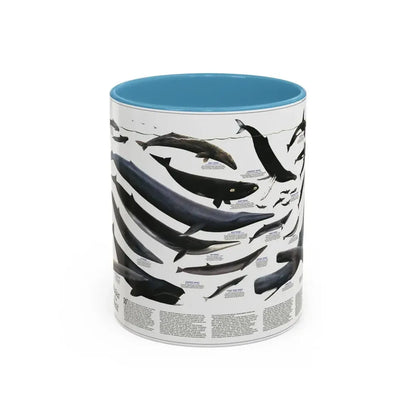 Great Whales of the World (1976) (Map) Accent Coffee Mug 11oz Light Blue - Go Mug Yourself