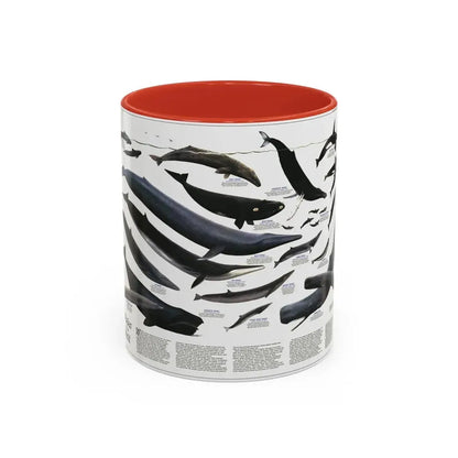 Great Whales of the World (1976) (Map) Accent Coffee Mug 11oz Red - Go Mug Yourself