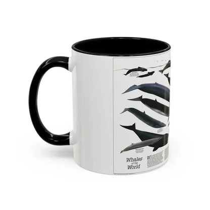 Great Whales of the World (1976) (Map) Accent Coffee Mug - Go Mug Yourself