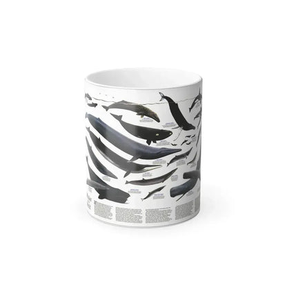 Great Whales of the World (1976) (Map) Color Changing Mug 11oz Default Title - Go Mug Yourself