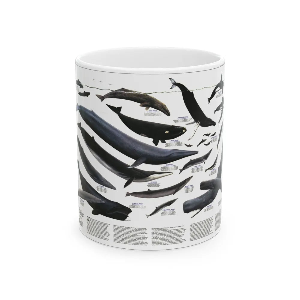 Great Whales of the World (1976) (Map) White Coffee Mug-11oz-Go Mug Yourself