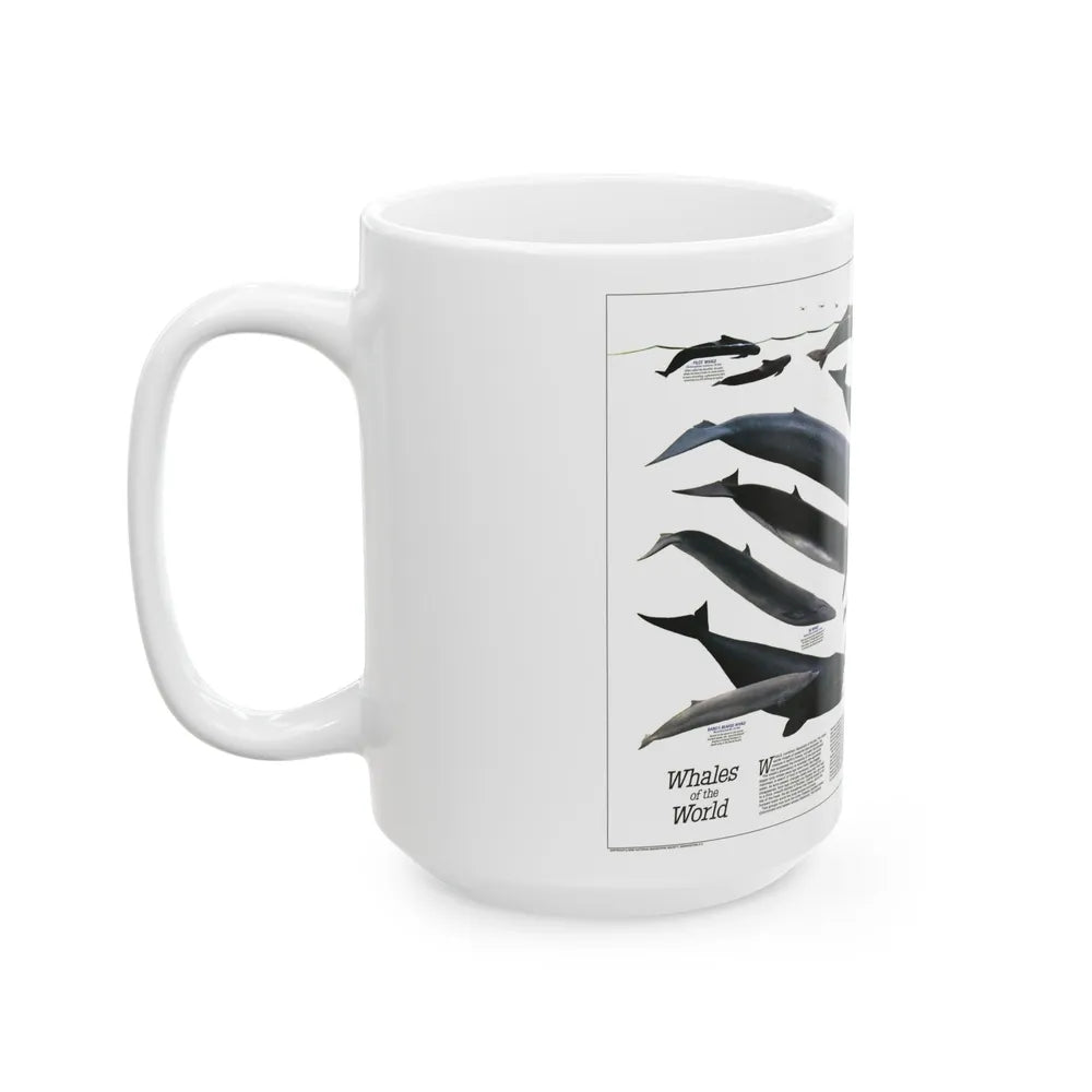 Great Whales of the World (1976) (Map) White Coffee Mug-Go Mug Yourself