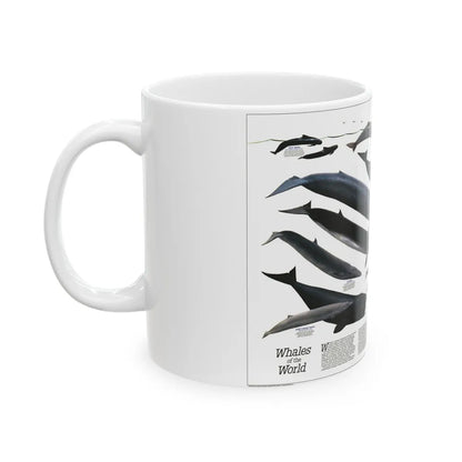 Great Whales of the World (1976) (Map) White Coffee Mug-Go Mug Yourself