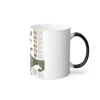 India (1997) (Map) Color Changing Mug 11oz-Go Mug Yourself