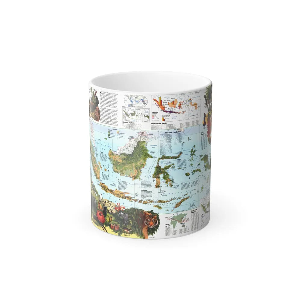 Indonesia 2 (1996) (Map) Color Changing Mug 11oz-11oz-Go Mug Yourself