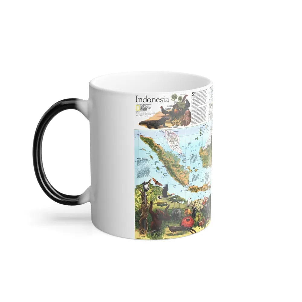 Indonesia 2 (1996) (Map) Color Changing Mug 11oz-Go Mug Yourself