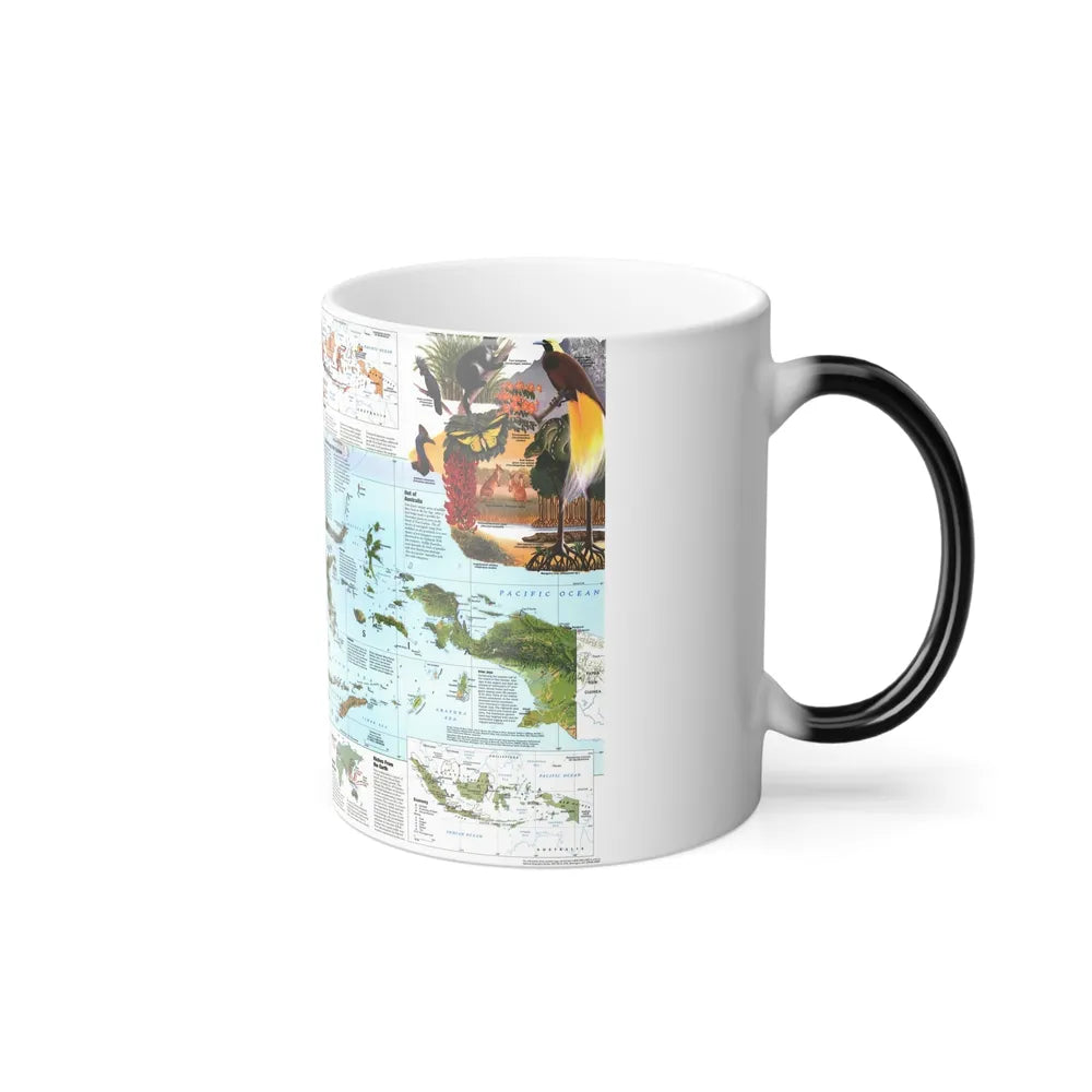 Indonesia 2 (1996) (Map) Color Changing Mug 11oz-Go Mug Yourself