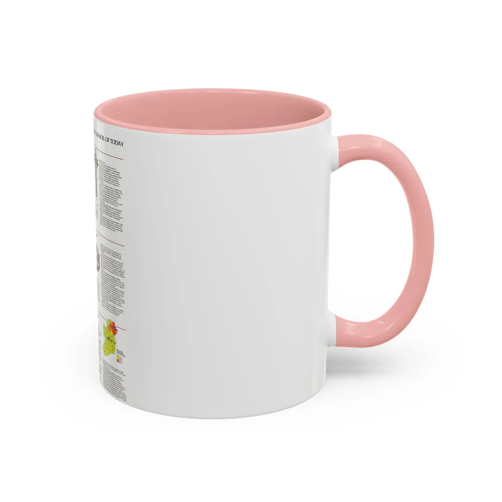 Ireland - Historic Pre-Christian to the Modern Day (1981) (Map) Accent Coffee Mug - Go Mug Yourself