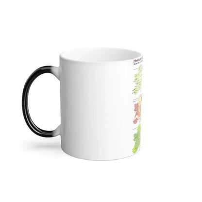 Ireland - Historic Pre-Christian to the Modern Day (1981) (Map) Color Changing Mug 11oz - Go Mug Yourself