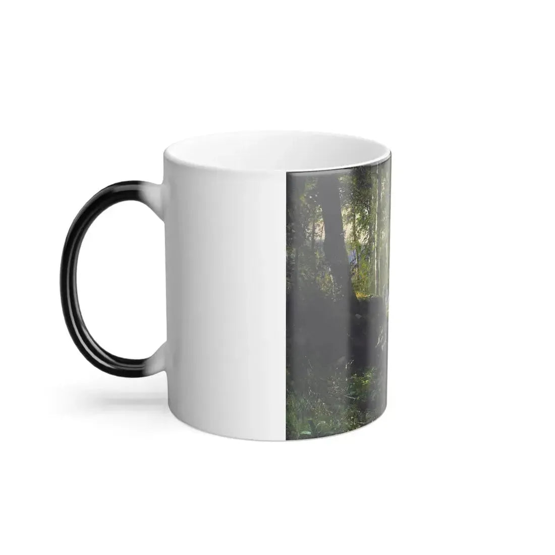 Ivan Shishkin (1832-1898) a walk in the forest - 1869 - Color Changing Mug 11oz - Go Mug Yourself