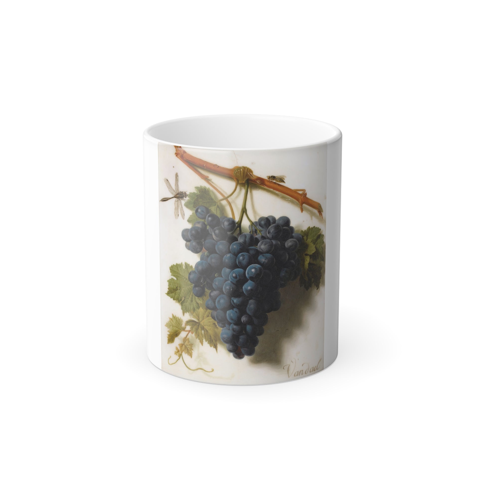 Jan Frans van Dael (1764-1840) Grappe de Raisins - Oil on Marble - Color Changing Mug 11oz-11oz-Go Mug Yourself
