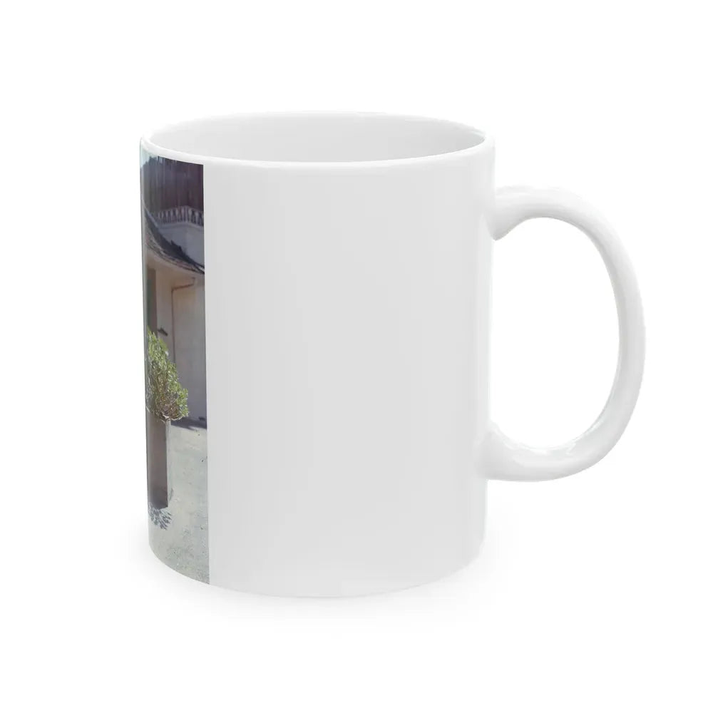 Joan Collins #495 (Vintage Female Icon) White Coffee Mug - Go Mug Yourself