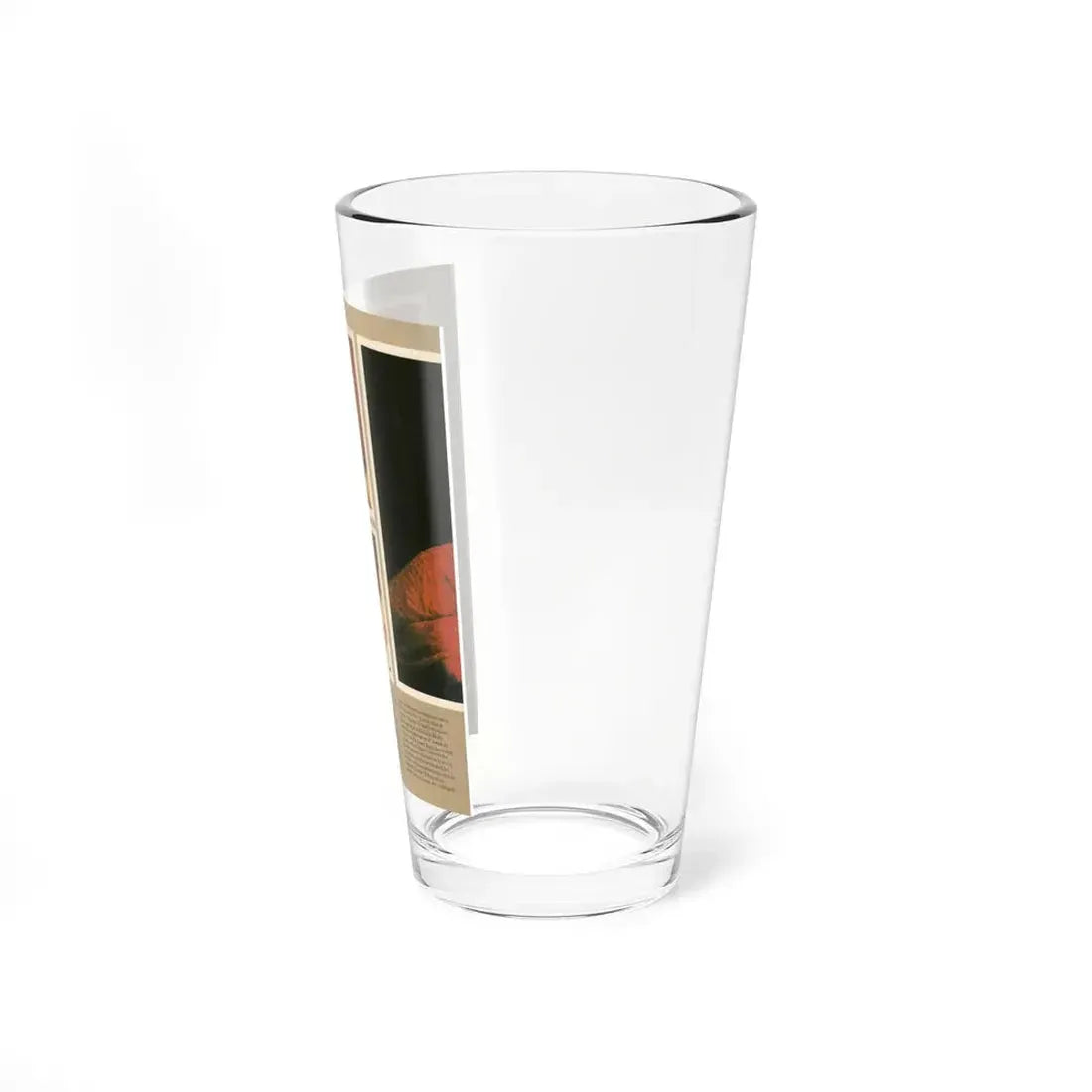 Kim Novak #373 (Vintage Female Icon) Pint Glass 16oz - Go Mug Yourself