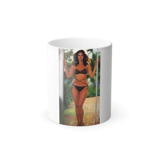 Lynda Carter #153 (Vintage Female Icons) Color Changing Mug 11oz-11oz-Go Mug Yourself