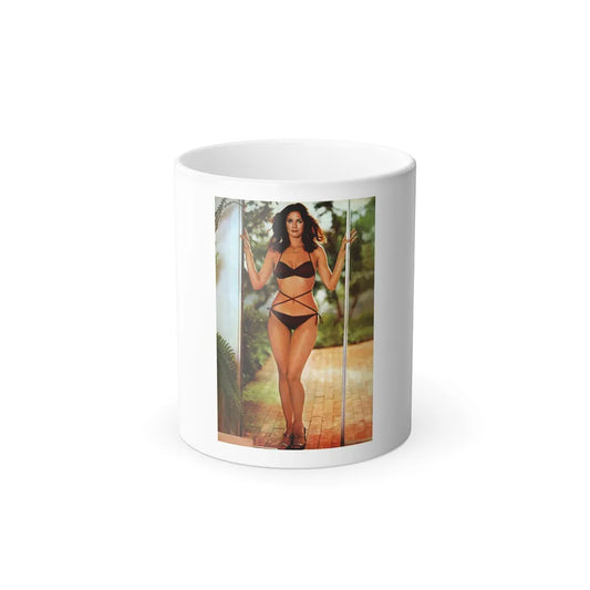 Lynda Carter #153_1 (Vintage Female Icons) Color Changing Mug 11oz-11oz-Go Mug Yourself