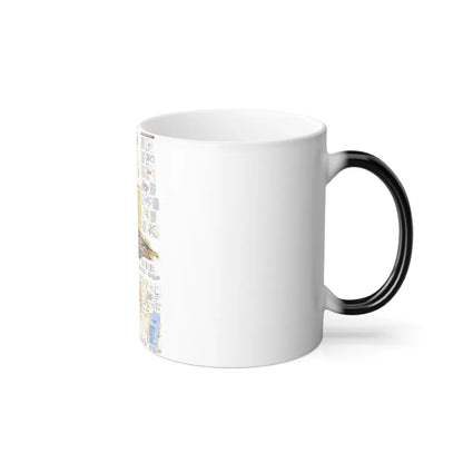 Middle East - Holy Land 2 (1989) (Map) Color Changing Mug 11oz-Go Mug Yourself