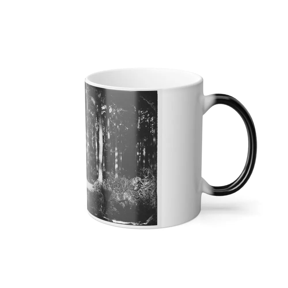 Morris Island, South Carolina 001 (U.S. Civil War) Color Changing Coffee Mug 11oz-Go Mug Yourself